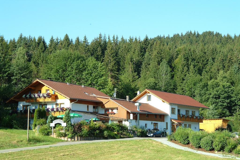 Gasthaus Pension Sternknockel Bodenmais Exterior photo
