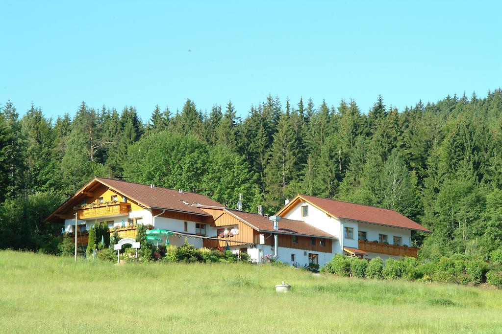 Gasthaus Pension Sternknockel Bodenmais Exterior photo